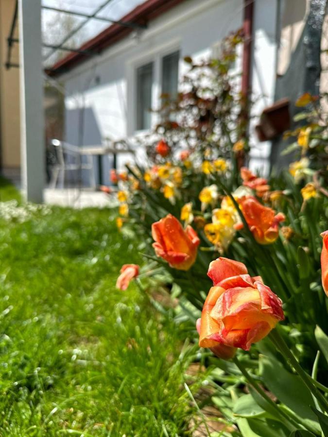 Apartmani Emily & Jully Nikšić エクステリア 写真